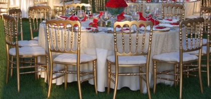 Kiralık Gold Napolyon Sandalye, Gold Napolyon Sandalye Kiralama, Ankara Gold Napolyon Sandalye, Ankara Gold Napolyon Sandalye Kiralama